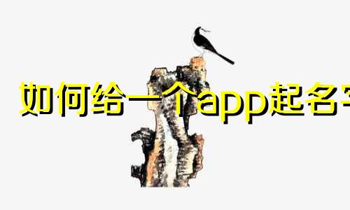 如何给一个app起名字