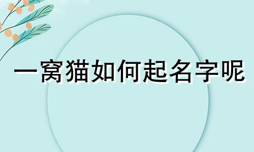 一窝猫如何起名字呢