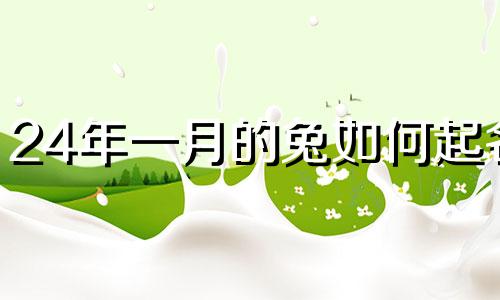 24年一月的兔如何起名