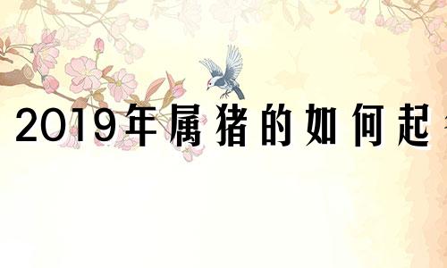 2O19年属猪的如何起名