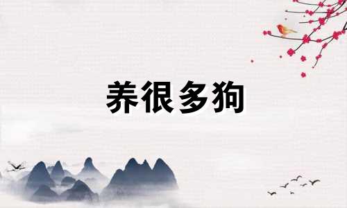 养很多狗 如何给它们起名字