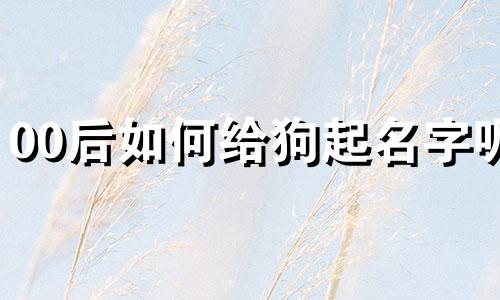 00后如何给狗起名字呢