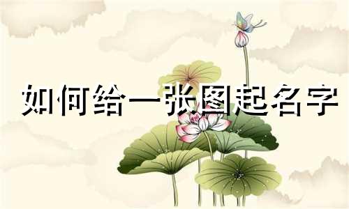 如何给一张图起名字
