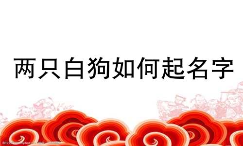 两只白狗如何起名字