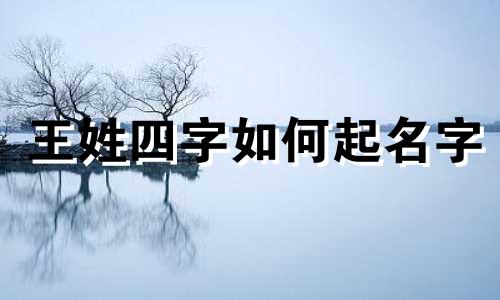 王姓四字如何起名字