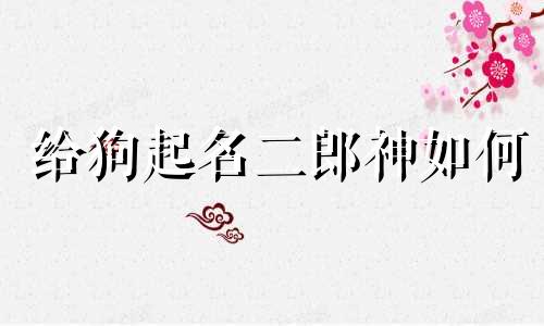 给狗起名二郎神如何