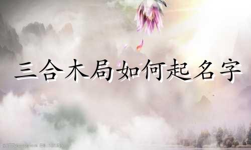 三合木局如何起名字