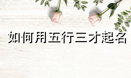如何用五行三才起名