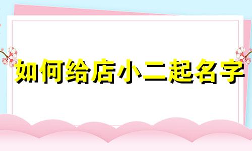 如何给店小二起名字