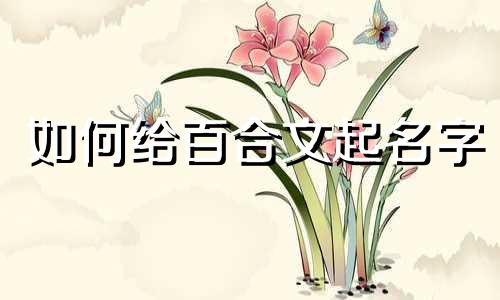 如何给百合文起名字