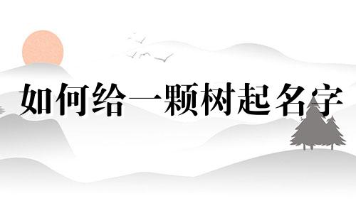 如何给一颗树起名字