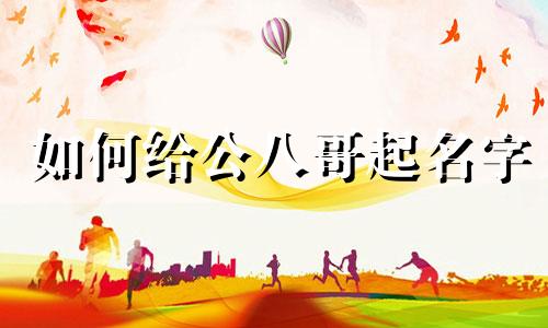 如何给公八哥起名字