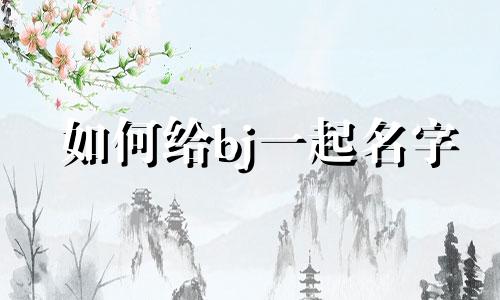 如何给bj一起名字