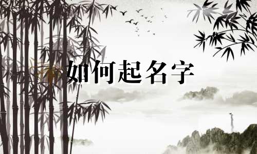 如何起名字 新生儿李氏