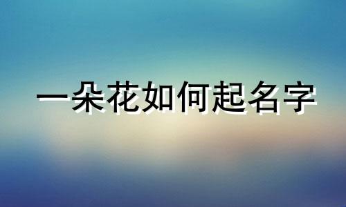 一朵花如何起名字