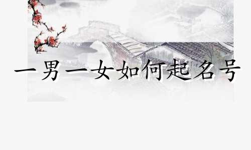 一男一女如何起名号