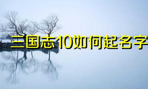 三国志10如何起名字