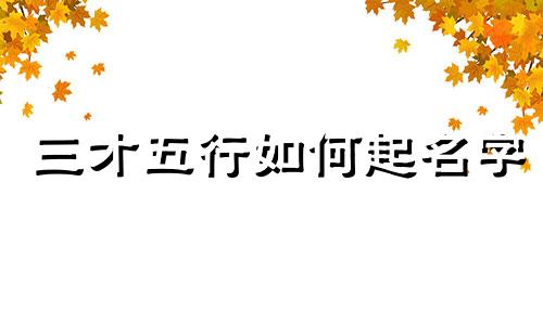 三才五行如何起名字