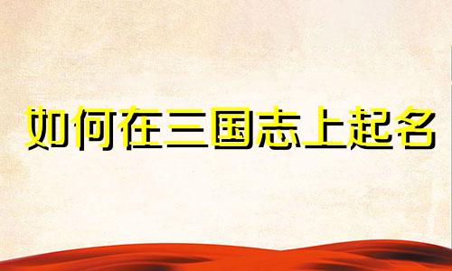 如何在三国志上起名