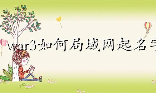 war3如何局域网起名字