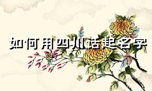 如何用四川话起名字
