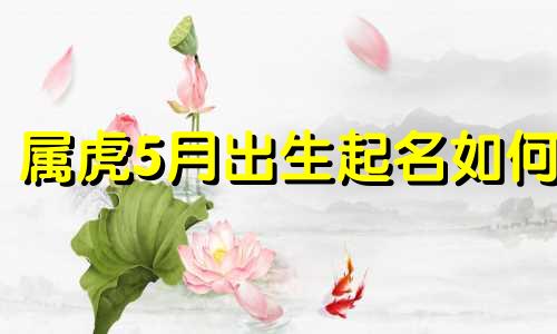 属虎5月出生起名如何