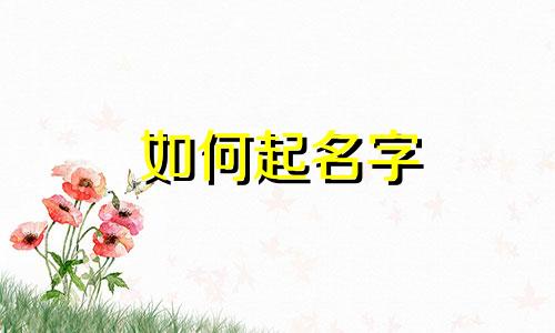 如何起名字 新生儿2023翊翊