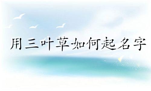 用三叶草如何起名字