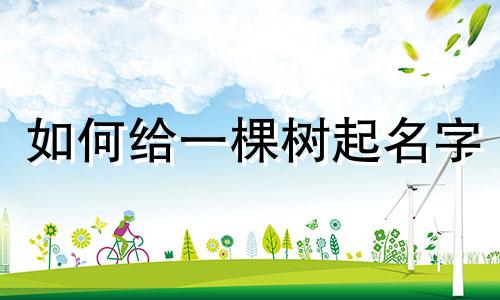 如何给一棵树起名字